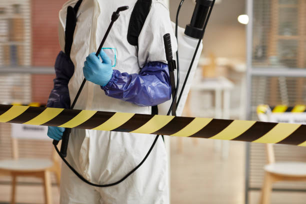 Professional Sewage Cleanup technician working in Fenton, MO